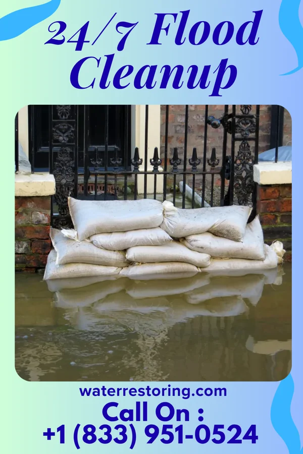 24/7 Flood Cleanup in Miesville, MN