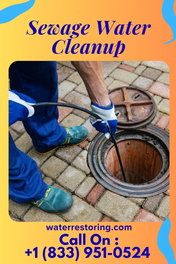 Sewage Water Cleanup in Miesville, MN